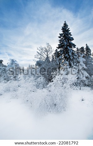 beautiful winter landscape in the ardennes, belgium