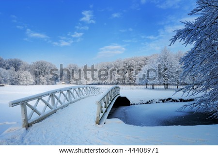 Beautiful winter landscape in the Netherlands ( Elswout Overveen)