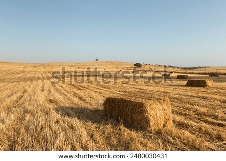 Similar – Foto Bild Alentejo-Landschaft