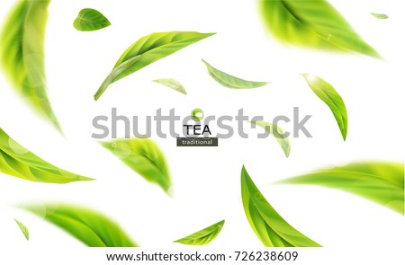 Vector 3d illustration with green tea leaves in motion on a white background. Element for design, advertising, packaging of tea products