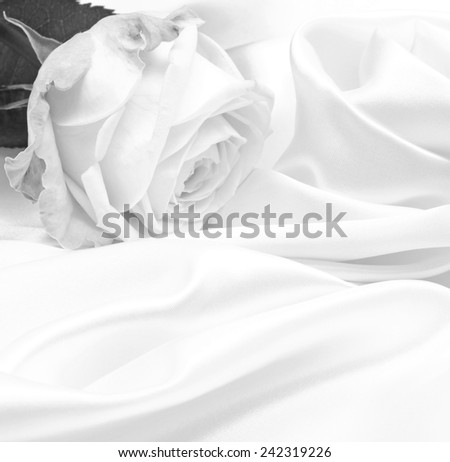 Beautiful white roses in black and white on white silk as wedding background