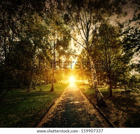 Autumn, fall park. Wooden path towards the sun. Colorful leaves, romantic aura of mystery
