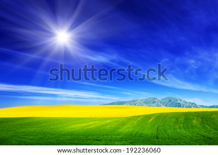 Spring field of fresh green grass and yellow flowers, rape. Blue sunny sky. Landscape background theme