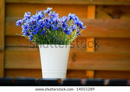 Outdoor design composed with natural wooden fence and flowers