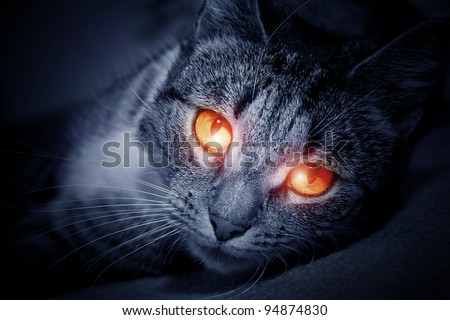 Cat with mysterious scary red glowing eyes. Conceptual