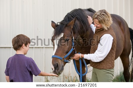 Boy Feeding Horse