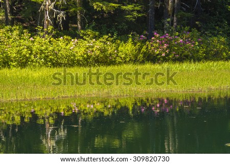 Hidden Lake, Mt Hood, Ore