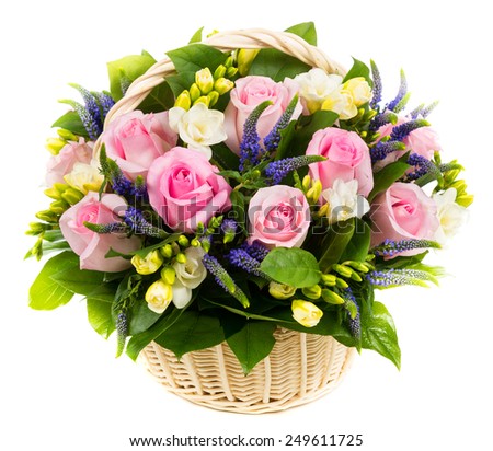 Natural pink roses in a basket isolated on white background