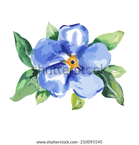 Forget-Me-Not Flower Stock Vector Illustration 210095545 : Shutterstock