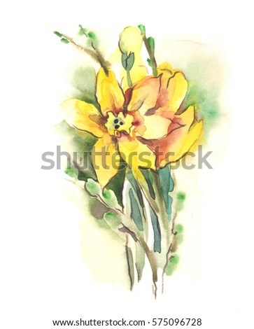 Similar – Image, Stock Photo daffodils Ostrich