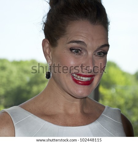 NEW YORK - MAY 12: Actress Brooke Shields attends a reception for the 2012 Ellis Island Medals of Honor at Ritz Carlton Battery Park on May 12, 2012 in New York City.