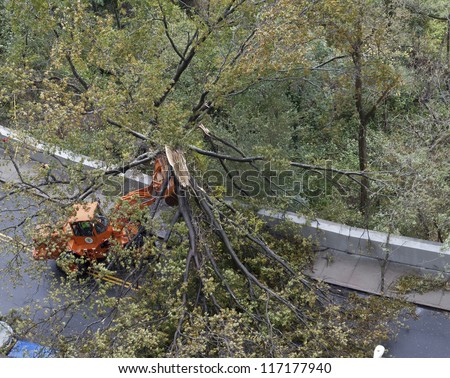 NEW YORK - OCTOBER 30: Sanitation department emergency crew cleans up street from debris of fallen tree on Johnson Avenue in the Bronx as result of hurricane Sandy on October 30, 2012 in New York City