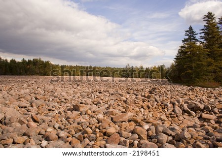 Boulder field surrounding by pine trees in Hickory Run park Pennsylvania