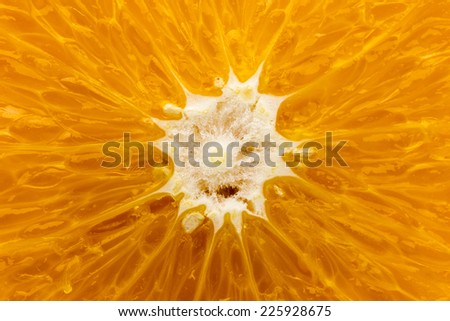 Orange textured background.  Studio photography.