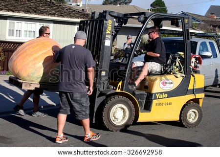 HALF MOON BAY, CA - OCTOBER 2015 - Pumpkin Festival workers forklift a giant pumpkin to the weighing scale at the 45th annual Pumpkin Weigh-Off contest in Half Moon Bay, California.