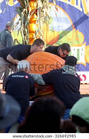 HALF MOON BAY, CA - OCTOBER 2015 - Pumpkin Festival workers load a giant pumpkin onto the scale at the 45th annual Pumpkin Weigh-Off contest in Half Moon Bay, California.
