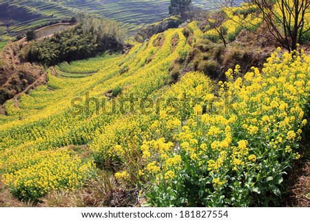 spring landscape China