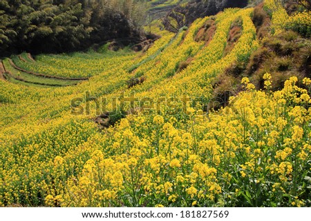 spring landscape China