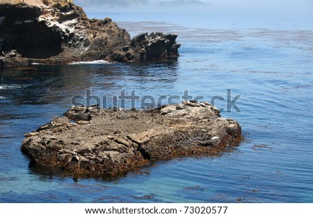 Point Lobos State Nature Reserve - California