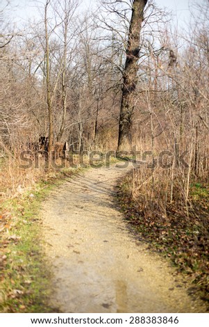 Nature landscape in spring season park walk