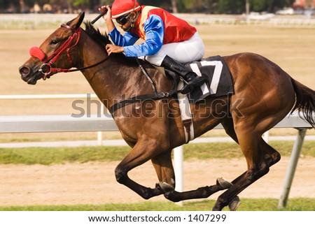 His jockey crouched down over his neck, a thoroughbred racer takes the corner at breakneck speed towards the finish line.
