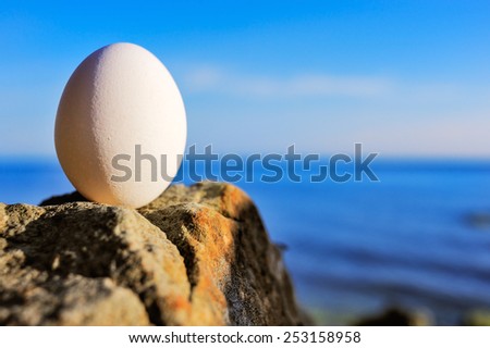 Hen\'s egg on the rocky coast