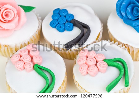 Colorful Cupcakes in a white background