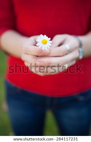 Woman hands holding a daisy. Spring begins . Focus in the flower