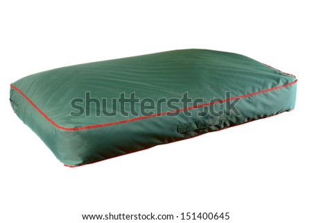 isolated colorful dog sleeping and resting sofa, mattress