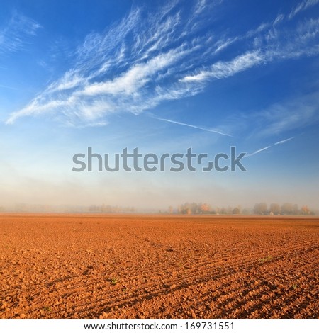Orange soil field against blue sky