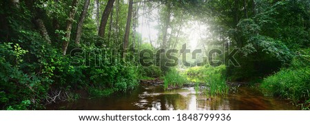 Similar – Foto Bild Kleiner Fluss mit Bäumen in Wiese und Feld. Farbenfrohe neblige Morgendämmerung