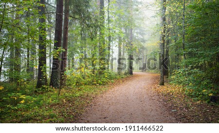 Similar – Image, Stock Photo Forest trail in autumn