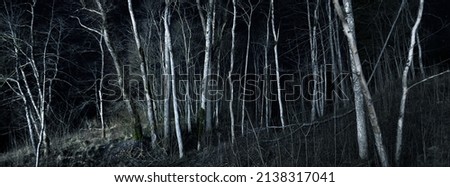Similar – Image, Stock Photo Birch tree with reflection in bog lake, on a meadow is a bench