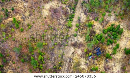 northern forest from areal point of view. Latvia.