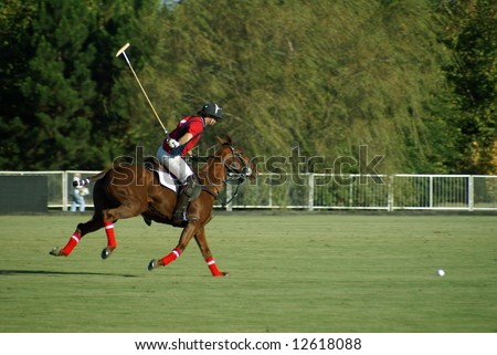 polo player in action about to hit the ball