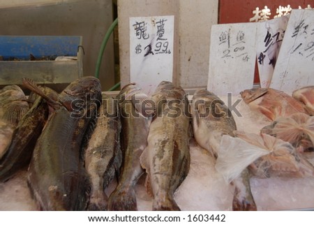 Fish for Sale at a Chinese Market