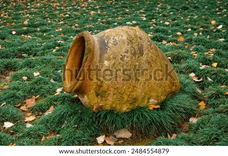 Image, Stock Photo Big earthen boulder with tree in pine forest