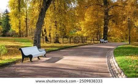 Image, Stock Photo Park