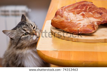 Cat looking at piece of meat from the kitchen table