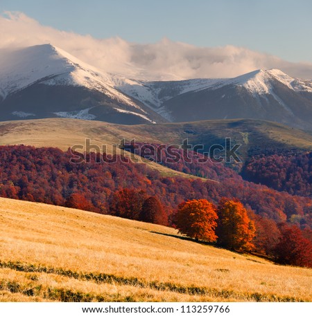 Colorful autumn landscape in the Carpathian mountains
