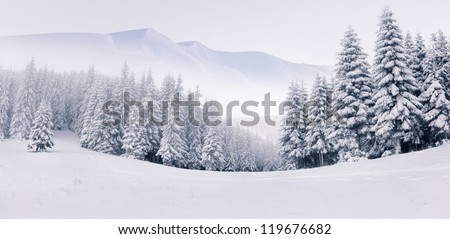 Similar – Image, Stock Photo Winter forest in fog (aerial view)