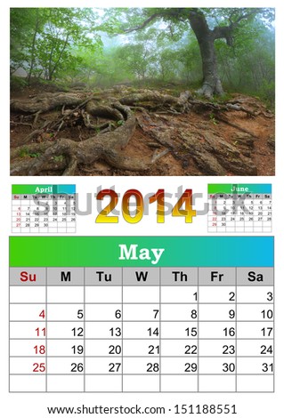 2014 Calendar. May. Tree with huge roots.