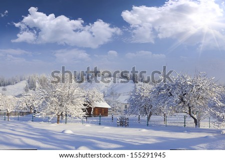 A sunny landscape in the village. Winter morning.