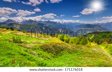Panorama of the blossom alpine meadows in the Caucasus mountains. Upper Svaneti, Georgia, Europe.