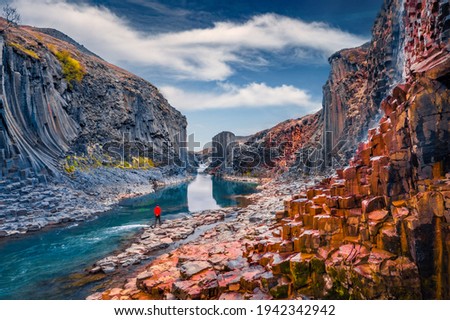 Tourist walking on the bottom of canyon with basalt columns. Unbelievable summer scene of Studlagil Canyon. Picturesque morning view of Iceland, Europe. Beauty of nature concept background. Photo stock © 