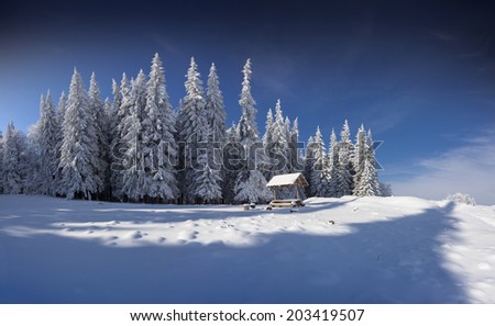 Winter fairy tale after heavy snowfall in the mountain forest