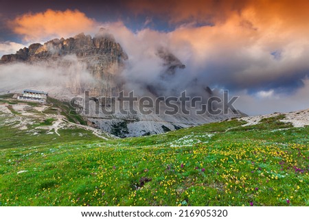 Colorful summer morning in Italy Alps, National Park Tre Cime di Lavaredo. Dolomites, South Tyrol. Location Auronzo, Italy, Europe.
