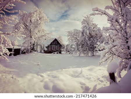 Sunny winter landscape in the mountain forest. Retro style