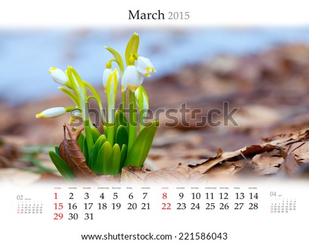 Calendar 2015 . March. First flowers in the spring forest.