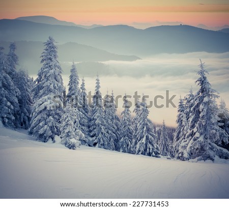 Colorful winter winter sunrise in the foggy mountains. Sunrise